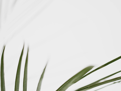 OpenCart 中文专业版博客功能上线! OpenCart 中文专业版博客功能上线!